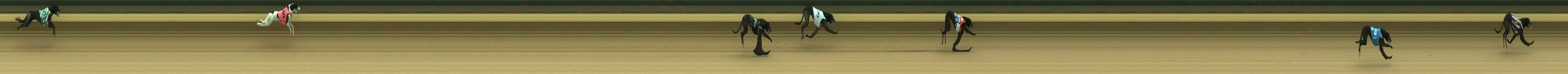 Photo finish for Warragul Race 7