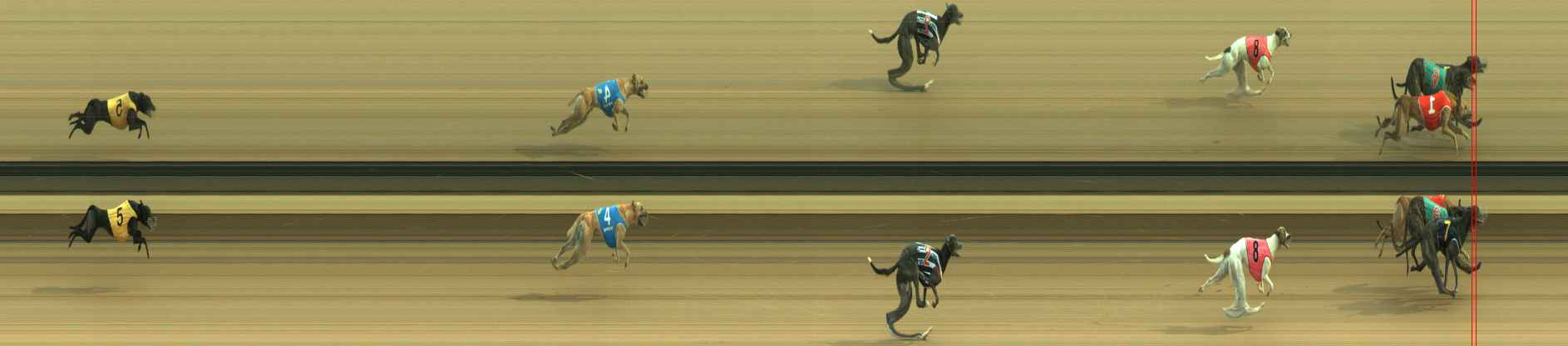 Photo finish for Warragul Race 8