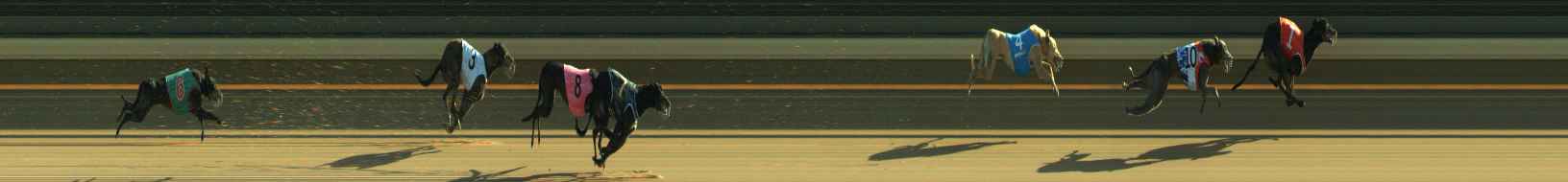 Photo finish for Warragul Race 11