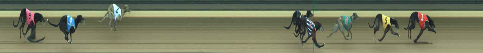 Photo finish for Warragul Race 12