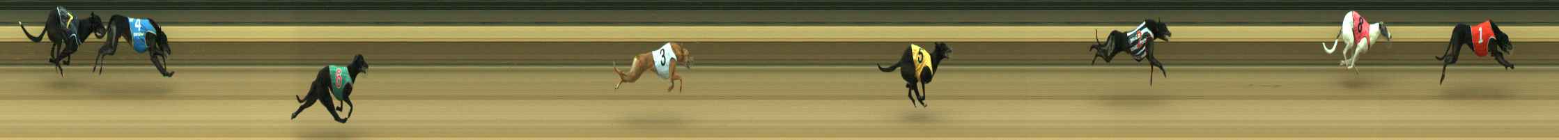 Photo finish for Warragul Race 1