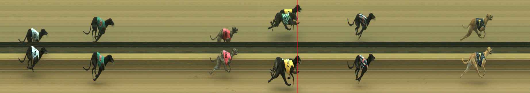 Photo finish for Warragul Race 2