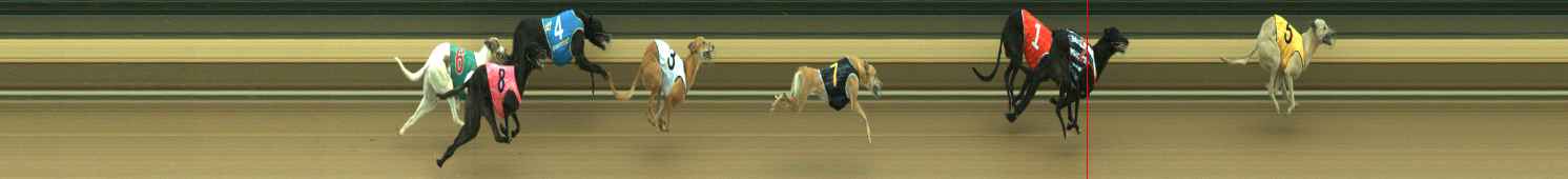 Photo finish for Warragul Race 5