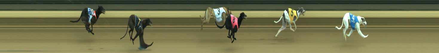 Photo finish for Warragul Race 8