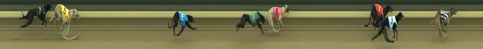 Photo finish for Warragul Race 9