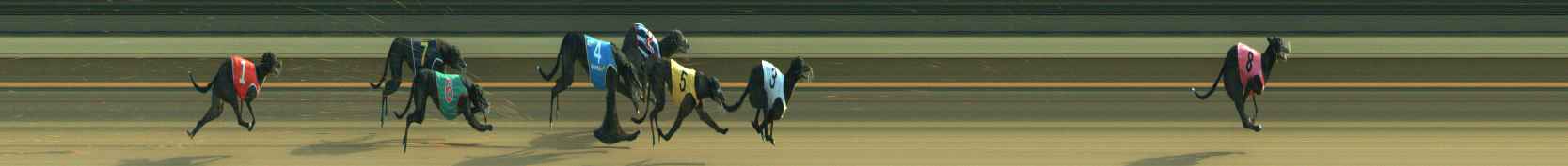 Photo finish for Warragul Race 10