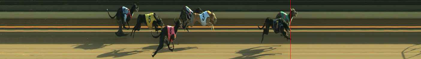 Photo finish for Warragul Race 11