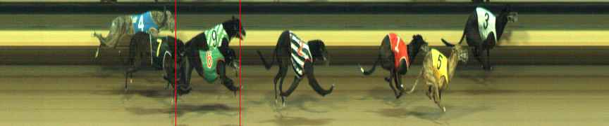 Photo finish for Warragul Race 2
