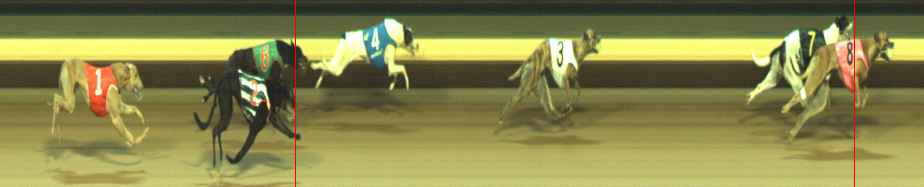 Photo finish for Warragul Race 4