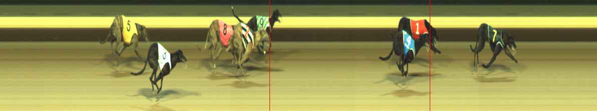Photo finish for Warragul Race 5