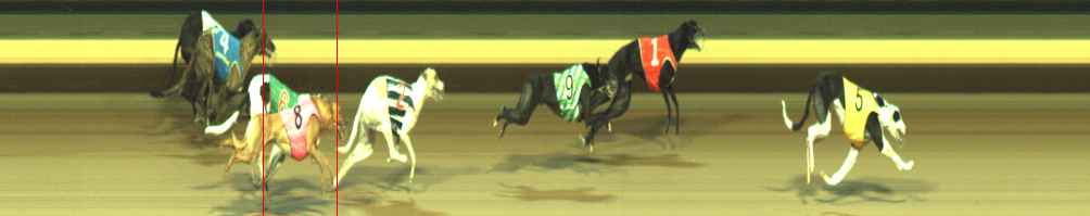 Photo finish for Warragul Race 6