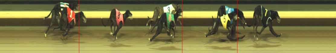 Photo finish for Warragul Race 7