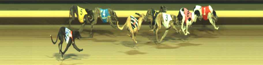 Photo finish for Warragul Race 8
