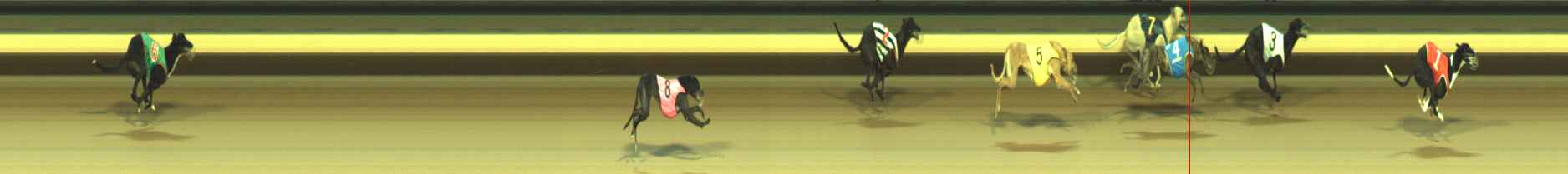 Photo finish for Warragul Race 9