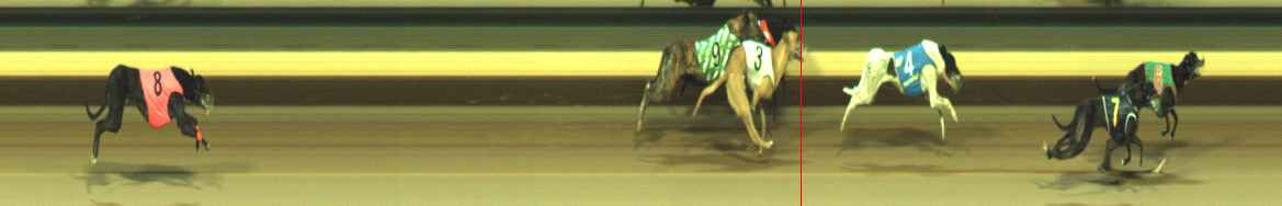 Photo finish for Warragul Race 11