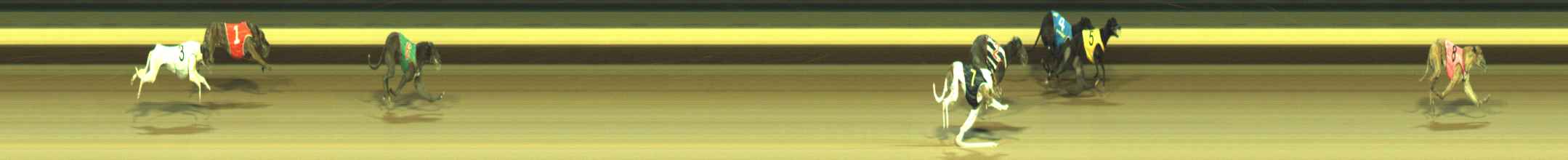 Photo finish for Warragul Race 12