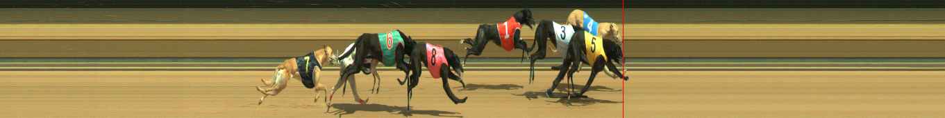 Photo finish for Warragul Race 1