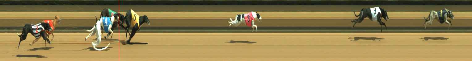 Photo finish for Warragul Race 2