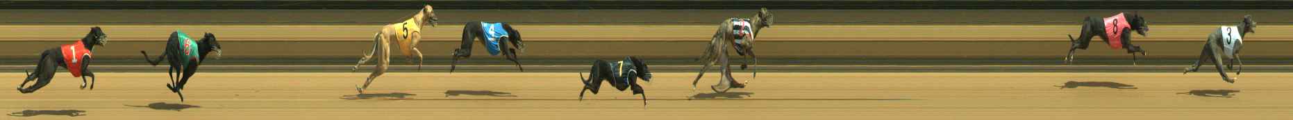 Photo finish for Warragul Race 3
