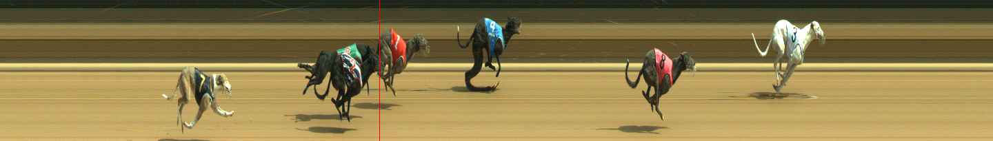 Photo finish for Warragul Race 5