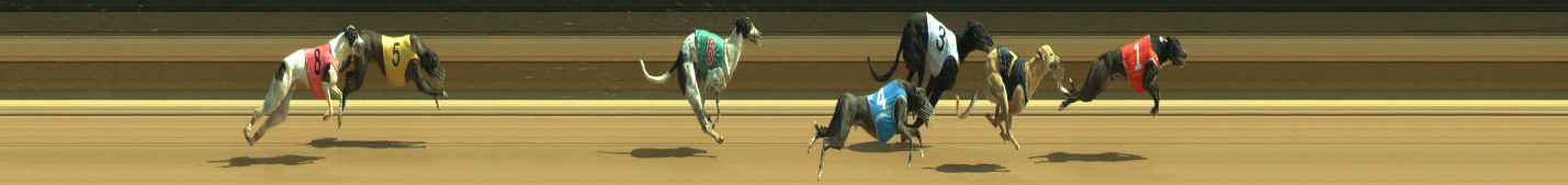 Photo finish for Warragul Race 7