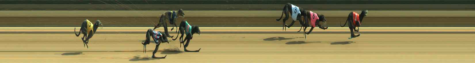 Photo finish for Warragul Race 10