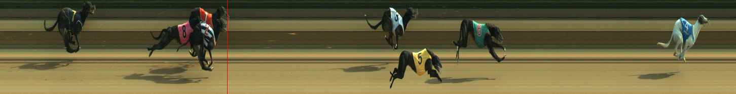 Photo finish for Warragul Race 11