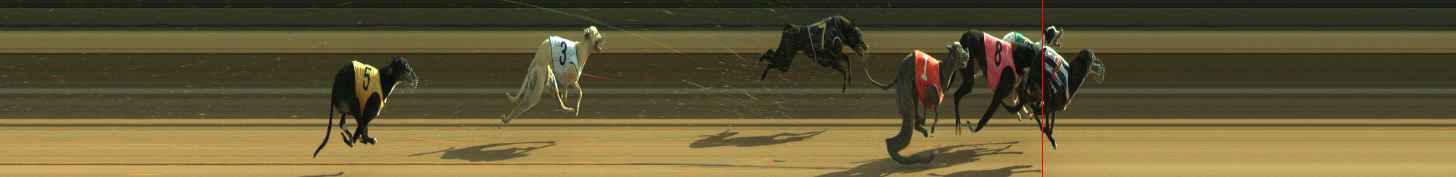 Photo finish for Warragul Race 12