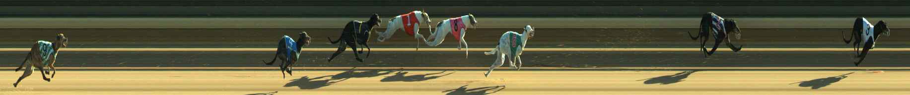 Photo finish for Warragul Race 1