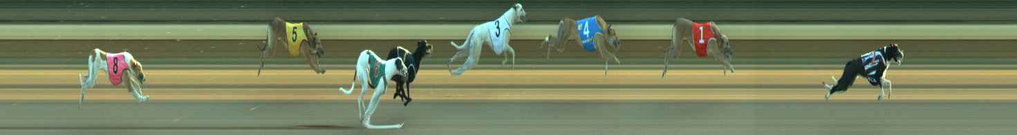 Photo finish for Warragul Race 3