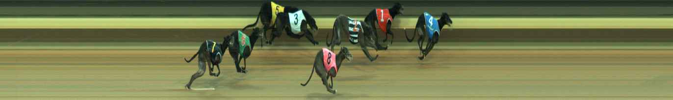 Photo finish for Warragul Race 4