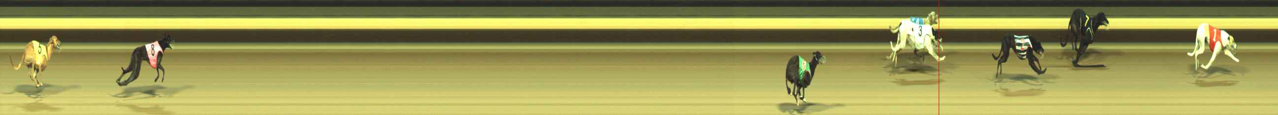 Photo finish for Warragul Race 6