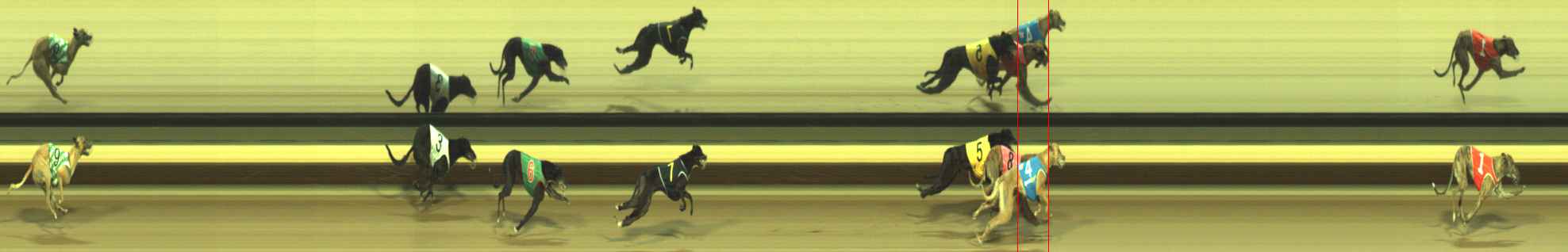 Photo finish for Warragul Race 7