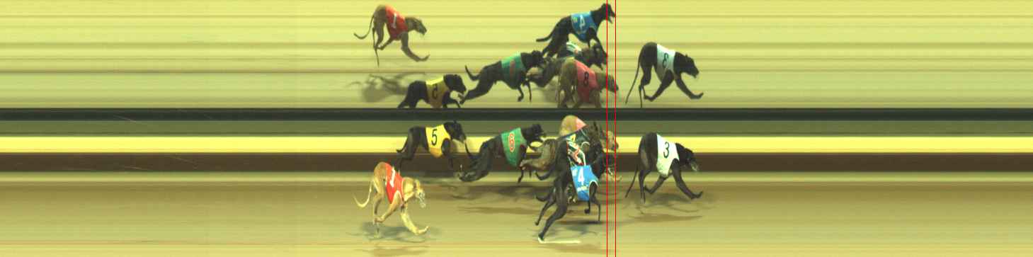 Photo finish for Warragul Race 8