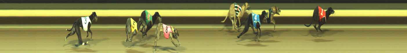 Photo finish for Warragul Race 9