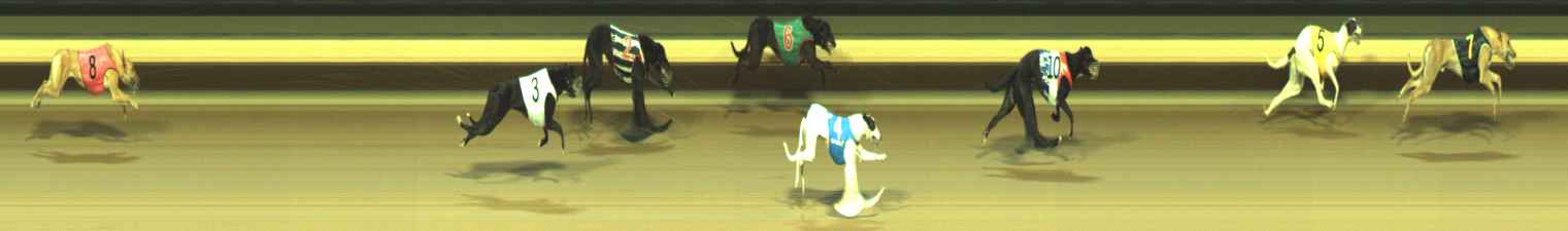 Photo finish for Warragul Race 10