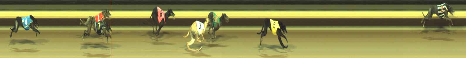 Photo finish for Warragul Race 11