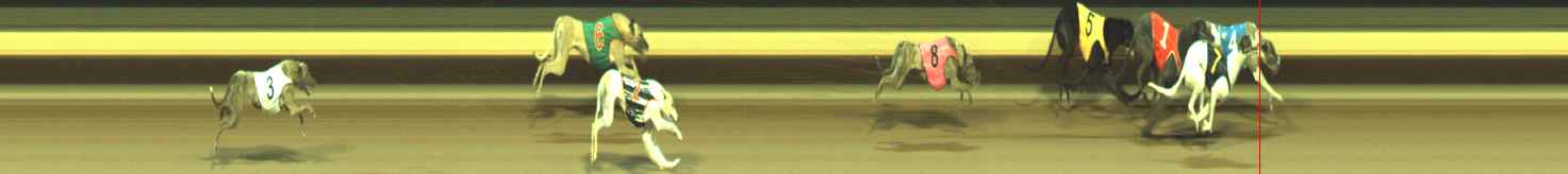 Photo finish for Warragul Race 12