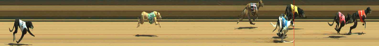 Photo finish for Warragul Race 1