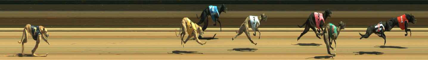 Photo finish for Warragul Race 2