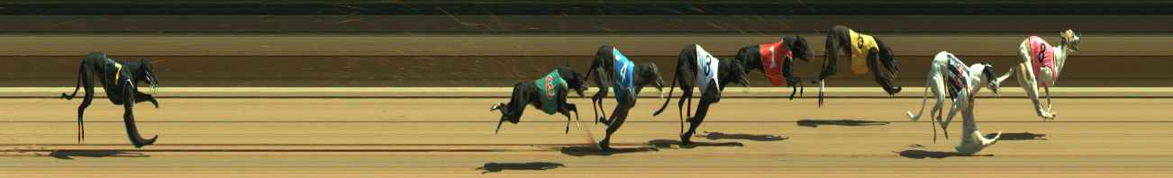 Photo finish for Warragul Race 3