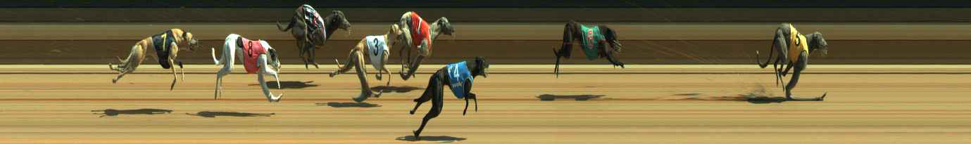 Photo finish for Warragul Race 4