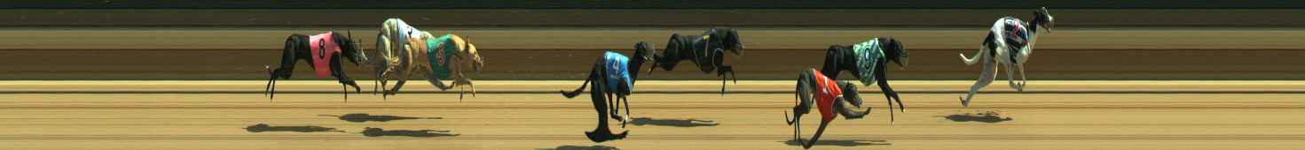 Photo finish for Warragul Race 5