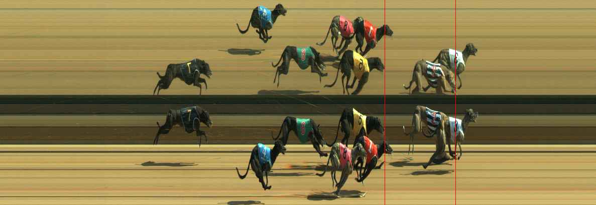 Photo finish for Warragul Race 6