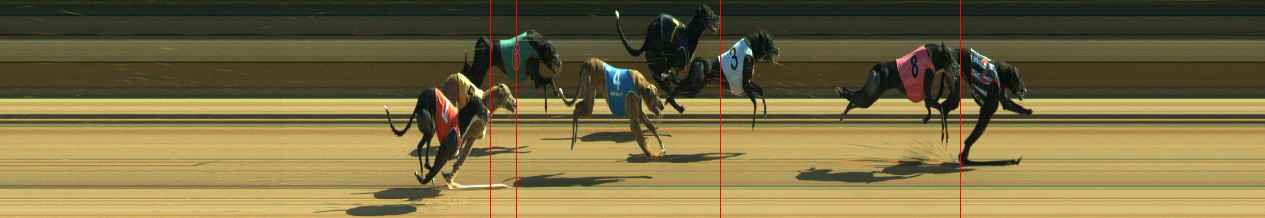 Photo finish for Warragul Race 8