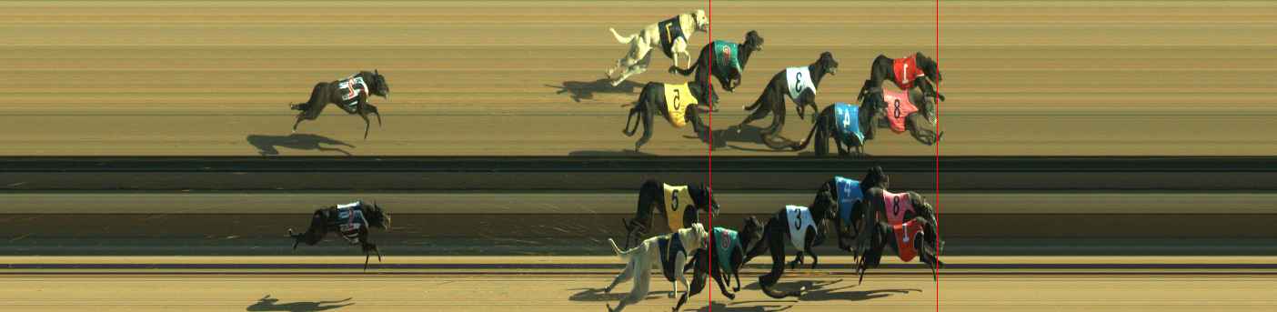 Photo finish for Warragul Race 9