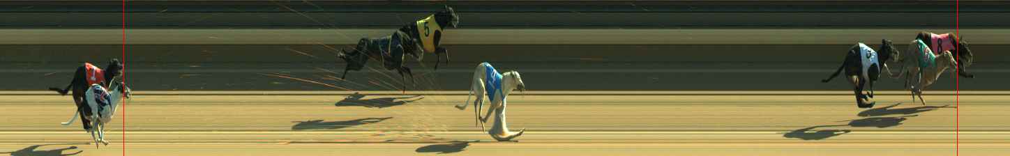 Photo finish for Warragul Race 10