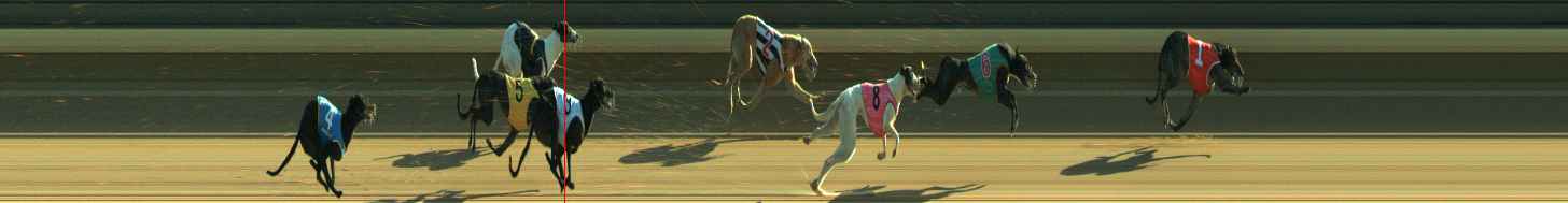 Photo finish for Warragul Race 11