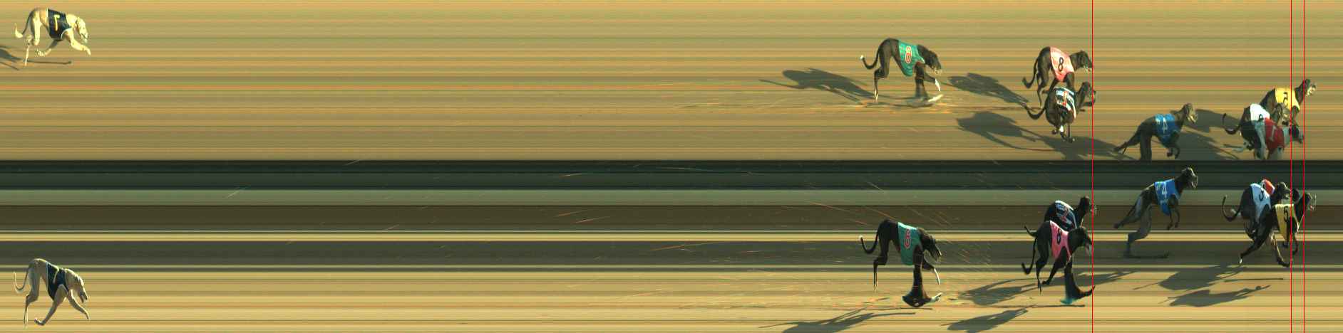 Photo finish for Warragul Race 12