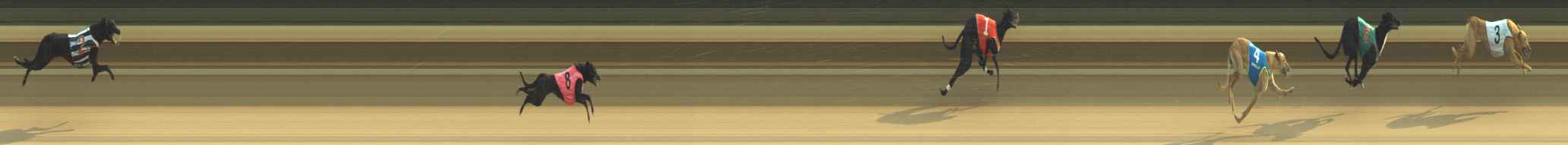 Photo finish for Warragul Race 1